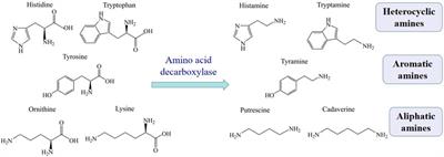 Application of Biotechnology in Specific Spoilage Organisms of Aquatic Products